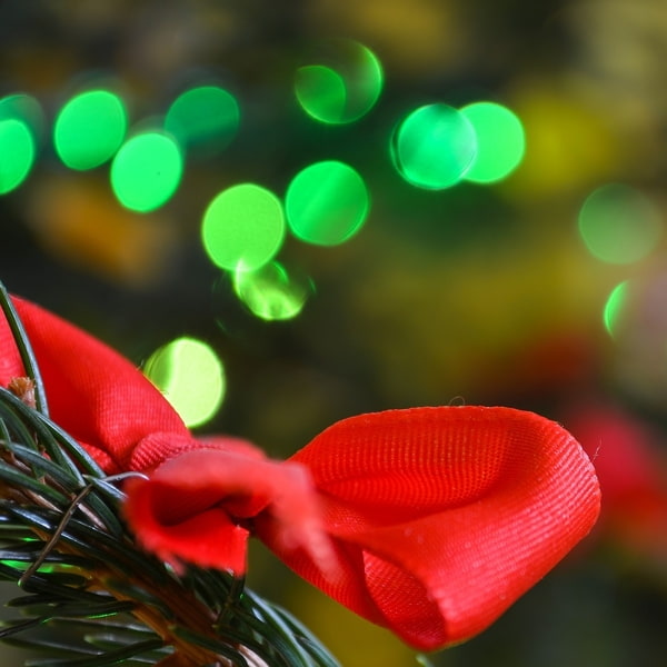 Frohe Weihnachten wünscht Grünsteidl Versicherungmakler Linz Tannenzweig mit roter Schleife, im Hintergrund grüne Lichter