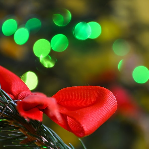Frohe Weihnachten wünscht Grünsteidl Versicherungmakler Linz Tannenzweig mit roter Schleife, im Hintergrund grüne Lichter